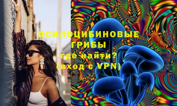 амфетамин Белокуриха